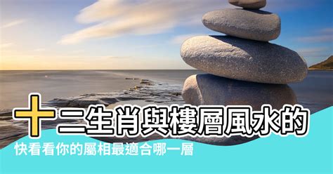 屬鼠樓層|【風水鼠人的房子】屬鼠最佳住房樓層和風水方位 